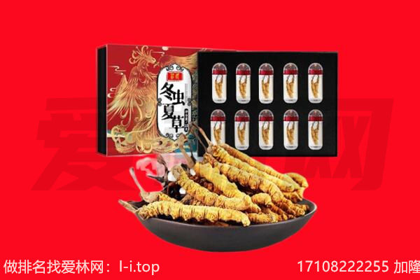 文山马关县回收虫草.jpg
